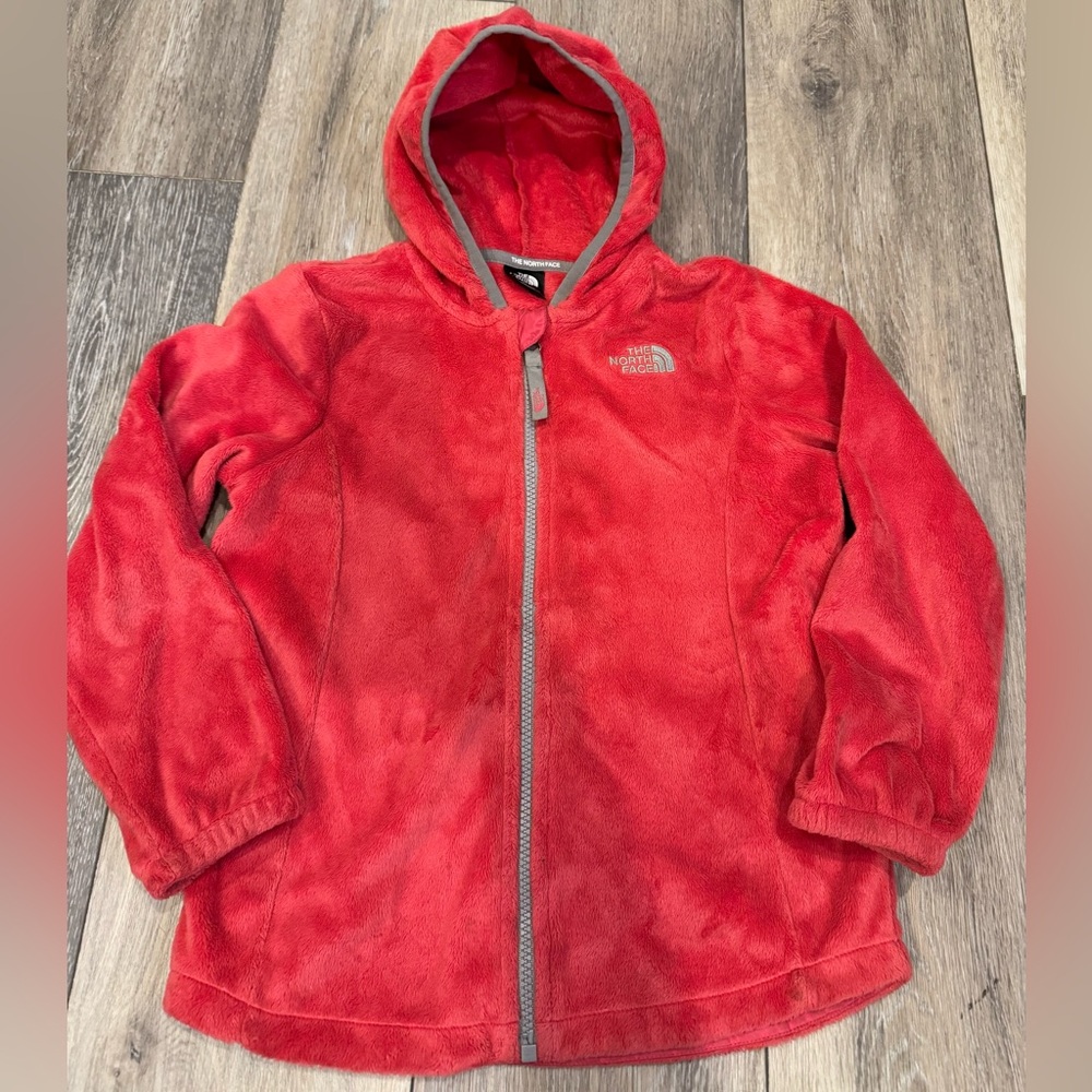NorthFace hooded jacket 6